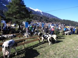 2019_ausstellung polling_141